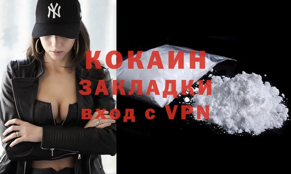 индика Белокуриха