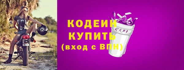 индика Белокуриха