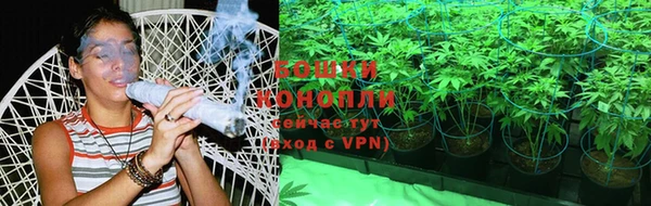 дурь Белоозёрский