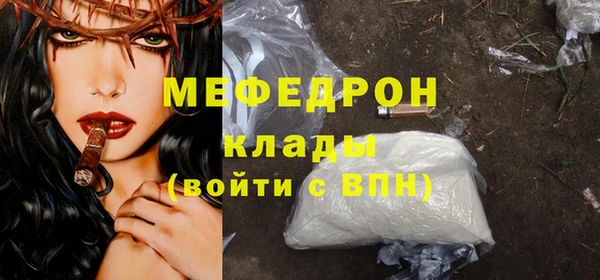 индика Белокуриха