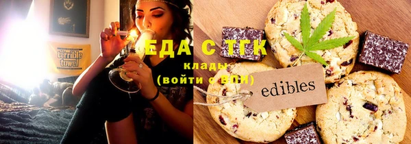 индика Белокуриха