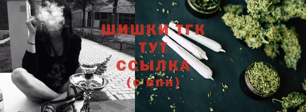 индика Белокуриха