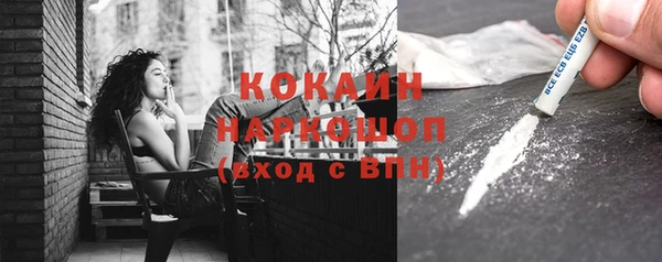 индика Белокуриха